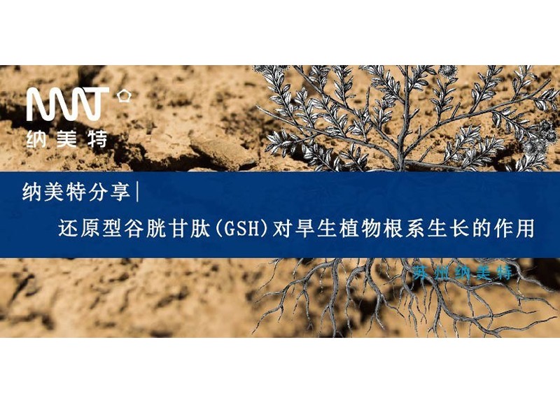 New usage of ChatGPT! Suzhou Namet Successfully Used for Field Trial Data Processing
