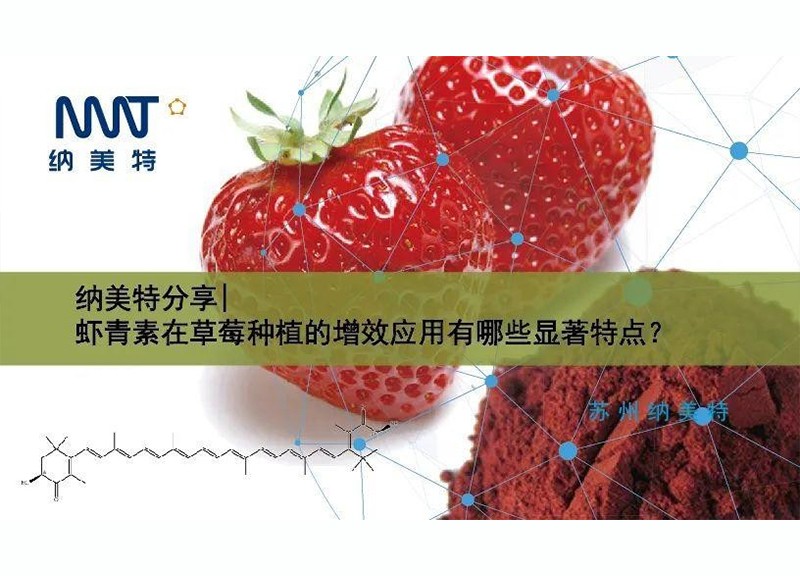 NMT sharing | What are the significant characteristics of the synergistic application of astaxanthin in strawberry planting?