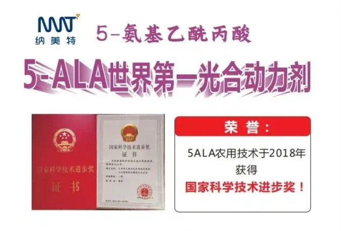 Effect of 5-ALA on apple fruit coloring