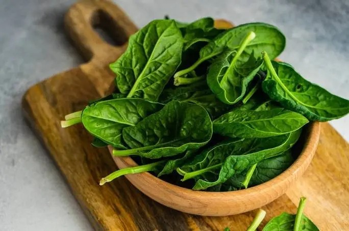 Effects of exogenous 5-ALA treatment on quality and yield of spinach