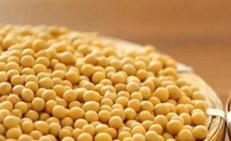 Effects of exogenous 5-A on yield and quality of soybean in Wanjiang region
