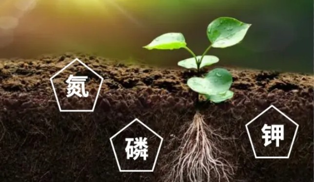 How does α-ketoglutaric acid solve the slow absorption of crops and improve fertilizer efficiency